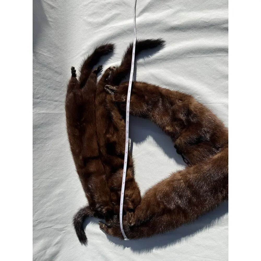Vintage 4 Mink Fur Stole Pelts Scarfs Heads Full Body Taxidermy 1940s 1950s